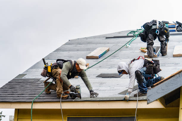 Professional Roofing technician working in Teeds Grove, IA